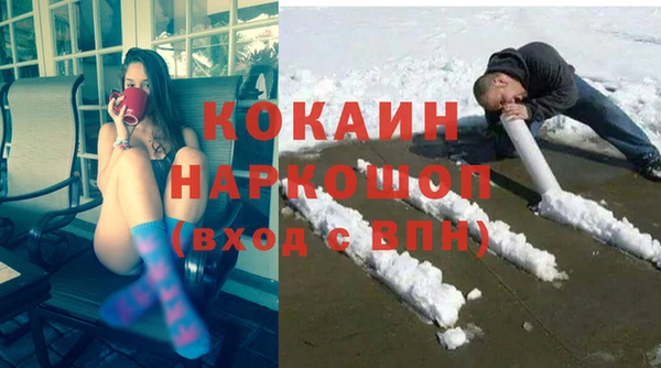 соль ск Алексин