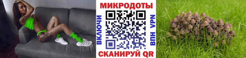 купить наркотики цена Ростов Галлюциногенные грибы Magic Shrooms