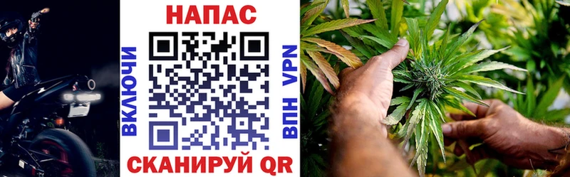 где купить наркоту  Ростов  Бошки Шишки план 